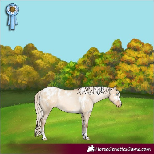 Horse Color:White Spotted Chocolate Palomino Pearl Dun Varnish 
