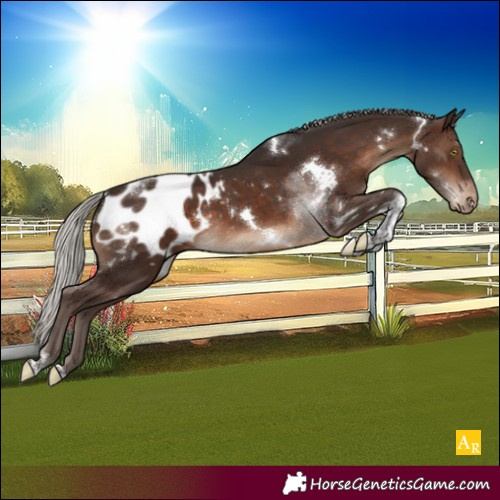 Horse Color:White Spotted Silver Brown Tobiano Blanket