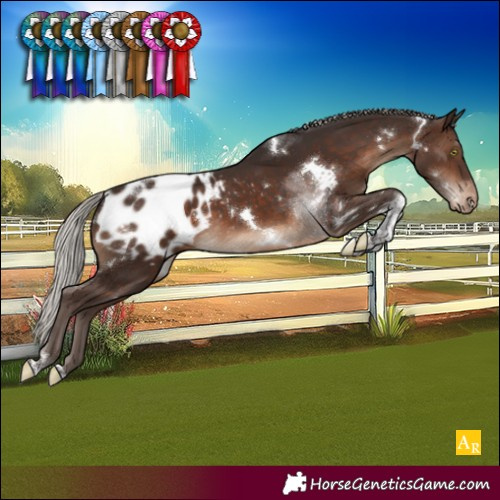 Horse Color:White Spotted Silver Brown Tobiano Blanket 