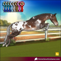 Horse Color:White Spotted Silver Brown Tobiano Blanket
