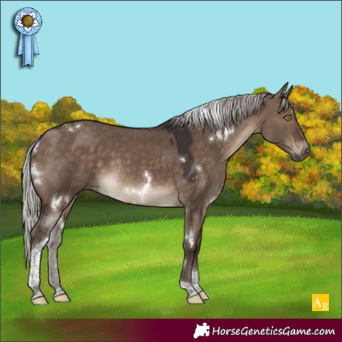 Horse Color:White Spotted Silver Brown Dun Tobiano