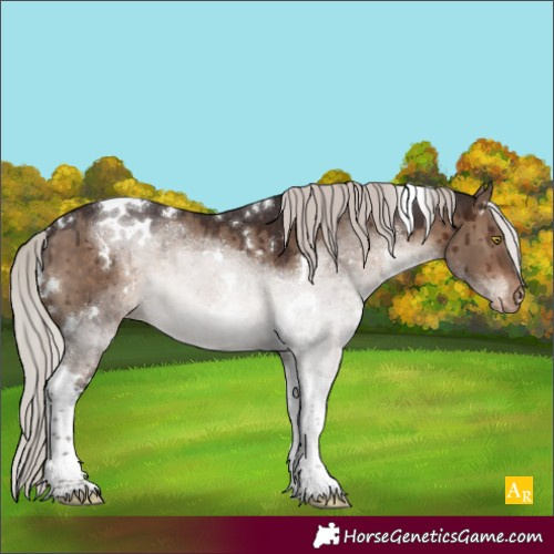 Horse Color:White Spotted Silver Brown Dun Tobiano Appaloosa Brindle