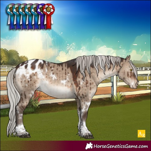 Horse Color:White Spotted Silver Brown Dun Tobiano Blanket Rabicano Brindle 