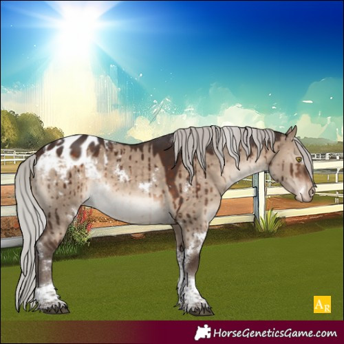 Horse Color:White Spotted Silver Brown Dun Tobiano Appaloosa Rabicano Brindle 