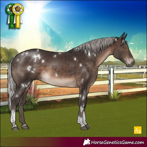 Horse Color:White Spotted Silver Brown Tobiano