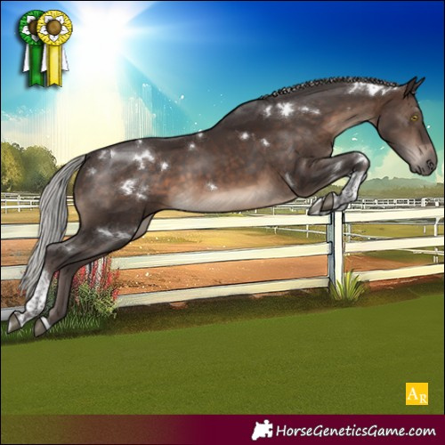 Horse Color:White Spotted Silver Brown Tobiano 