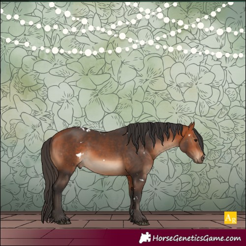 Horse Color:White Spotted Bay