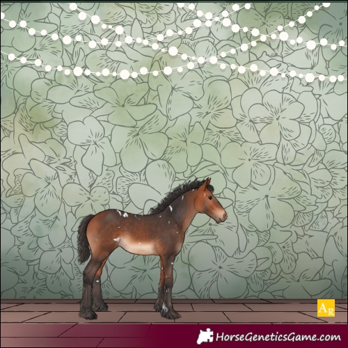 Horse Color:White Spotted Bay 