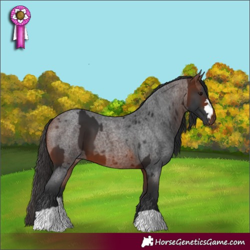 Horse Color:Bay  and Bay Roan 