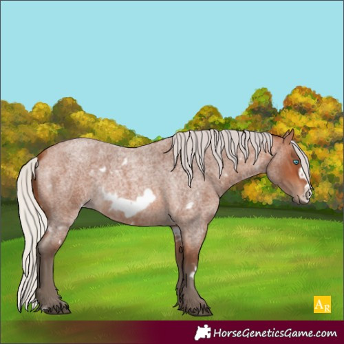 Horse Color:White Spotted Silver Bay Roan Frame