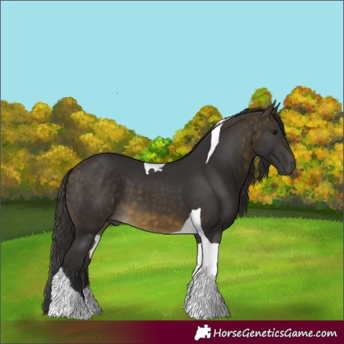 Horse Color:Buckskin Tobiano