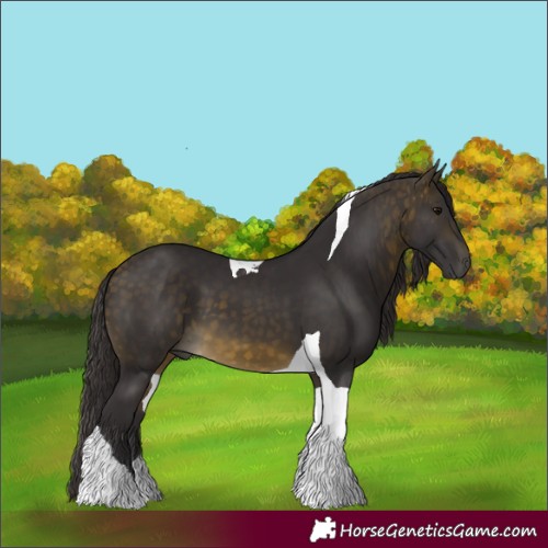 Horse Color:Buckskin Tobiano