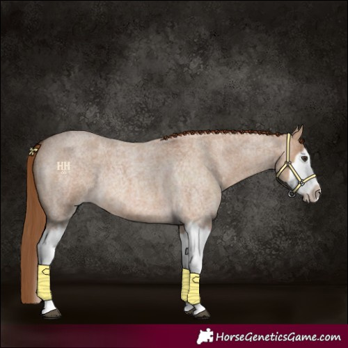 Horse Color:Red Dun Roan Splash Frame Rabicano