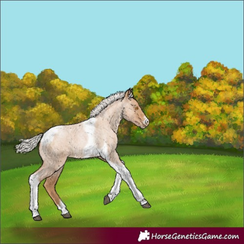 Horse Color:Silver Blue Roan Pearl Tobiano Frame 
