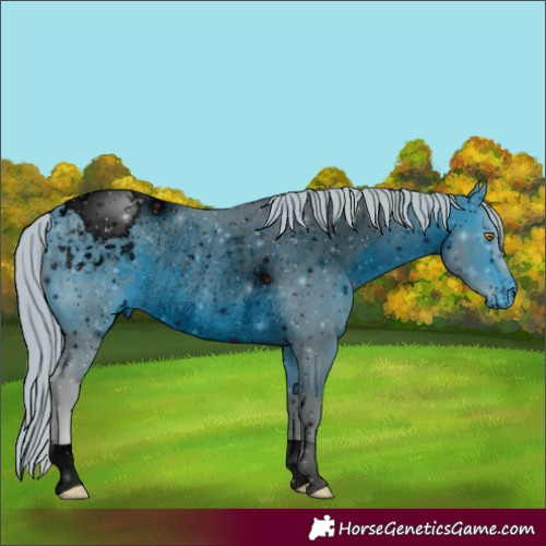 Horse Color:ERROR: UNKNOWN ANOMALY