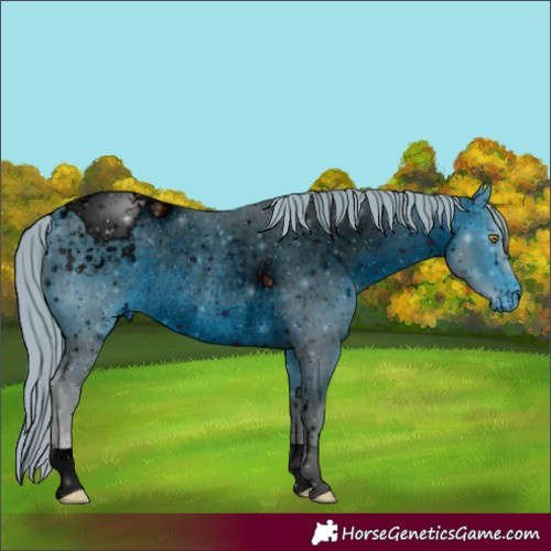 Horse Color:ERROR: UNKNOWN ANOMALY