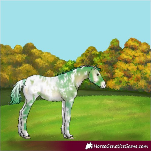 Horse Color:Watercolor White Spotted Liver Red Onyx Appaloosa 