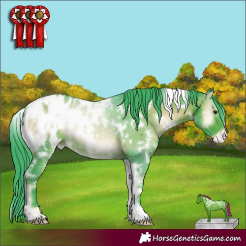 Horse Color:Watercolor White Spotted Liver Red Onyx Appaloosa