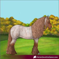 Horse Color:Red Roan 