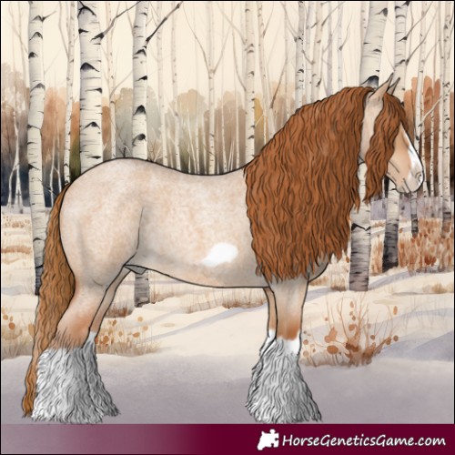 Horse Color:Red Dun Roan Splash Frame Rabicano 