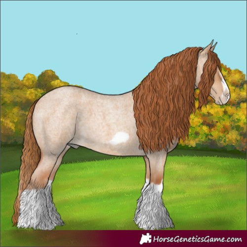 Horse Color:Red Dun Roan Splash Frame Rabicano 