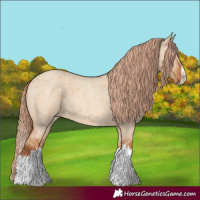Horse Color:Red Dun Roan Splash Frame Rabicano 