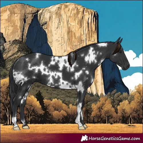 Horse Color:White Spotted Black 