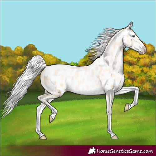 Horse Color:White Spotted Silver Classic Cream Champagne Pearl Near Leopard