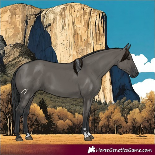 Horse Color:Grullo