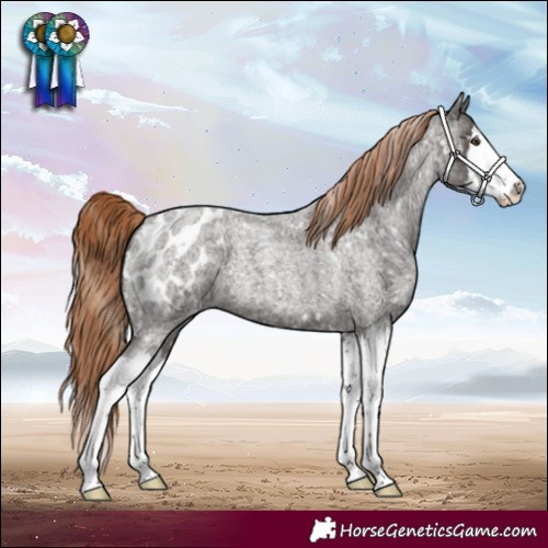 Horse Color:Liver Red Roan Splash Blanket 