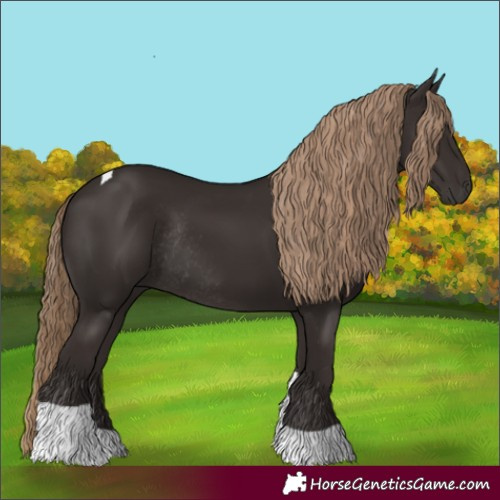 Horse Color:Liver Chestnut Tobiano Rabicano 