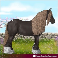 Horse Color:Liver Chestnut Tobiano Rabicano 