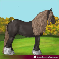 Horse Color:Liver Chestnut Tobiano Rabicano 