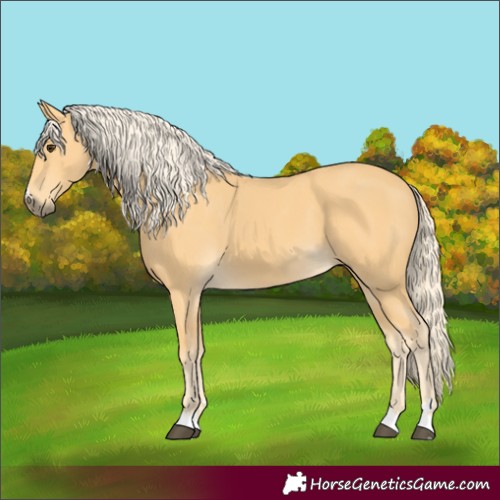 Horse Color:Palomino