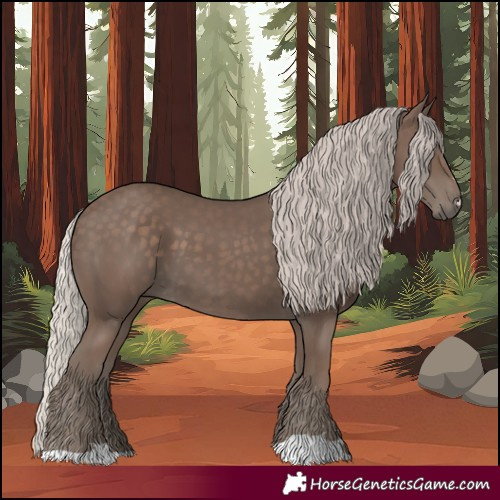 Horse Color:Silver Black