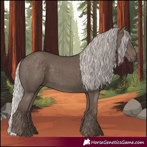 Horse Color:Silver Black 