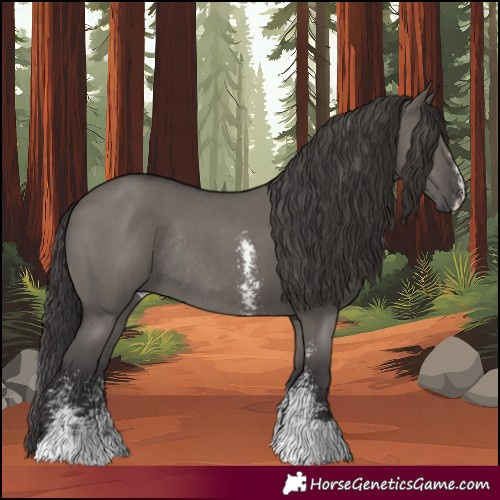 Horse Color:Smoky Grullo Sabino Rabicano