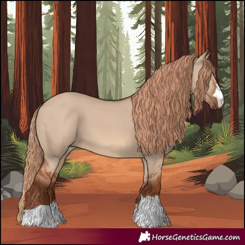 Horse Color:Red Dun 