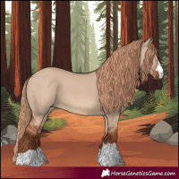 Horse Color:Red Dun 