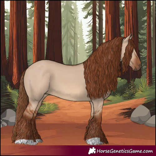 Horse Color:Red Dun 