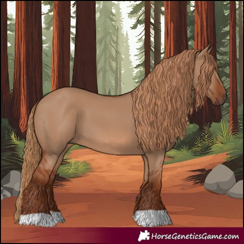 Horse Color:Red Dun