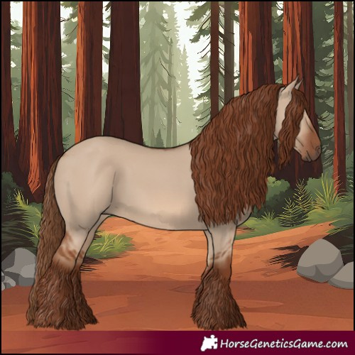 Horse Color:Red Dun 