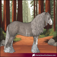 Horse Color:White Spotted Silver Black 