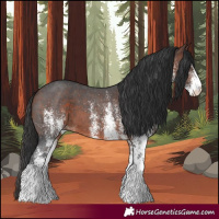 Horse Color:White Spotted Brown