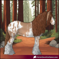 Horse Color:White Spotted Red Dun Blanket