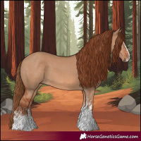 Horse Color:White Spotted Red Dun 