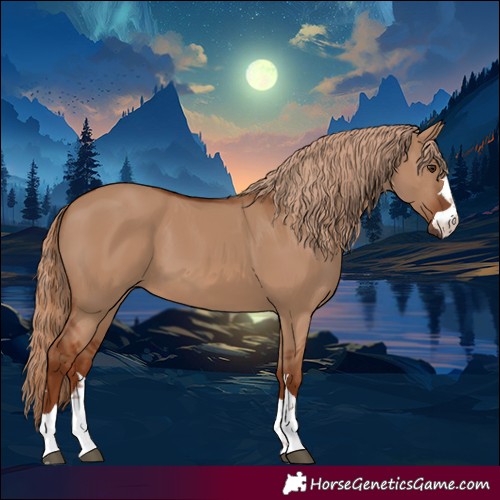 Horse Color:Red Dun