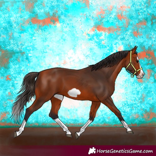 Horse Color:Bay Splash Frame 
