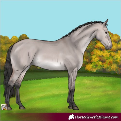 Horse Color:Platinum Bay Dun