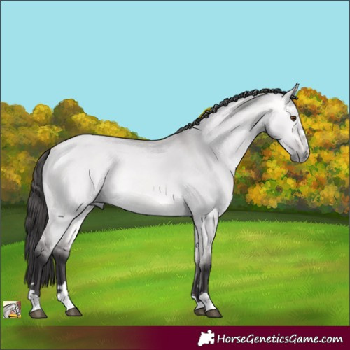 Horse Color:Platinum Buckskin Dun 
